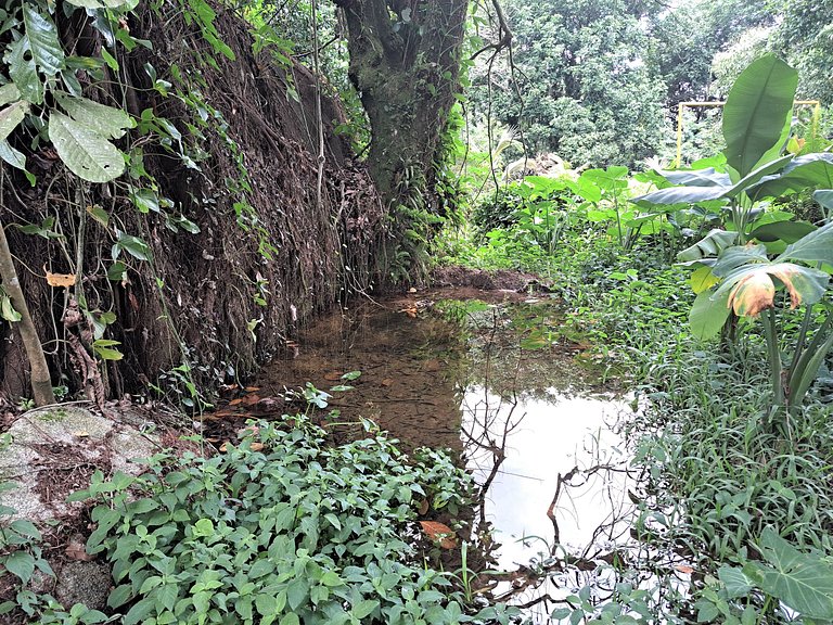 Paradisíaco, piscina e churrasqueira em Guapimirim