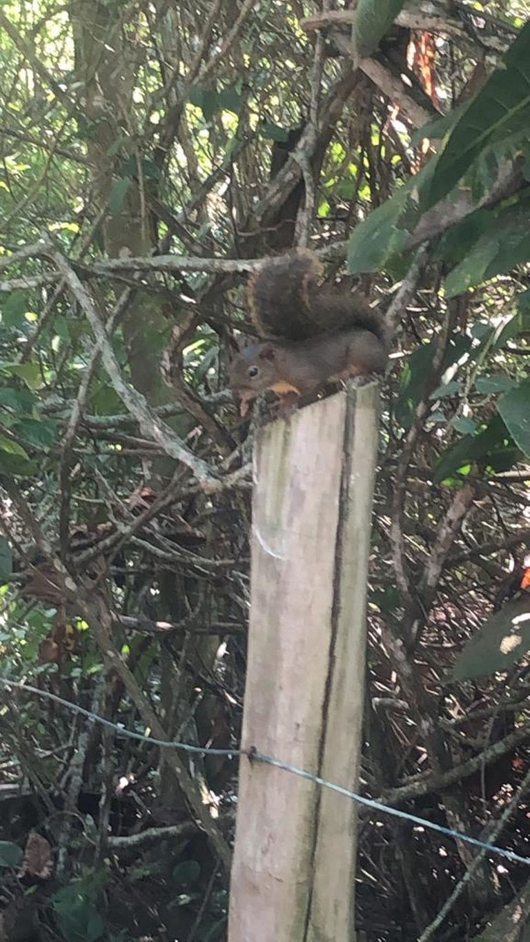 Bedroom 2 suite with view of Pedra de Itauna Barra RJ - home