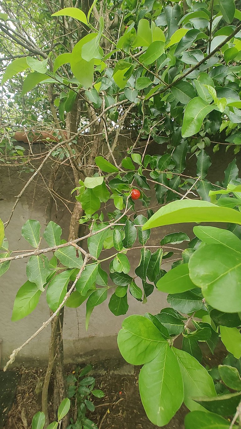 Casa Confortável C/ Piscina em Iguabinha Araruama