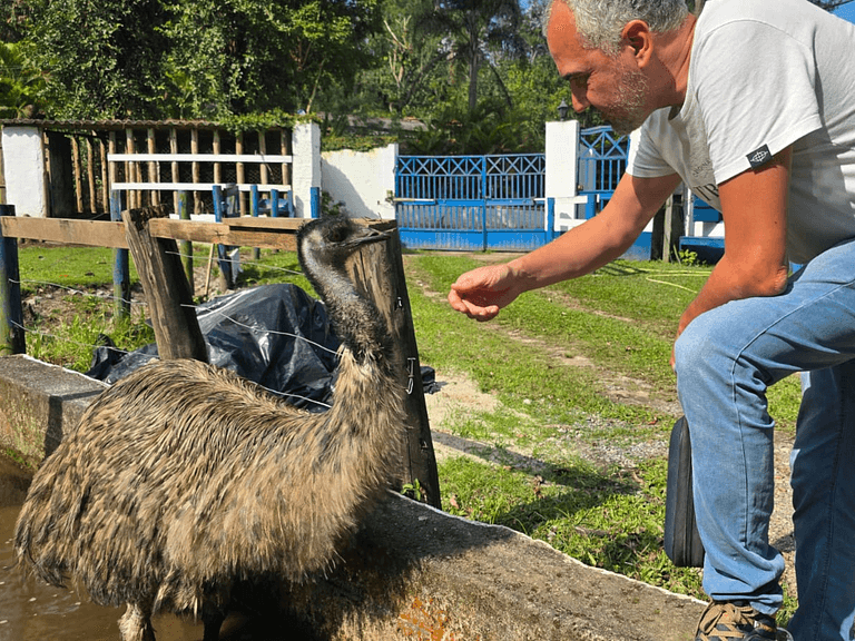 Casa dos Emus visitação Pets Natureza casa Rústica - Araras