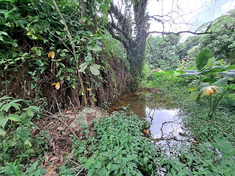 Paradise, swimming pool and barbecue in Guapimirim