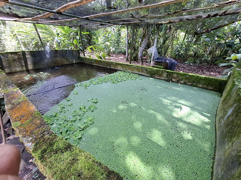 Sítio com Riacho garagem - 3km da Praia UBATUBA SP