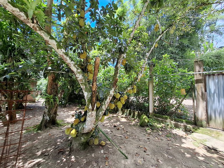 Sítio com Riacho garagem - 3km da Praia UBATUBA SP